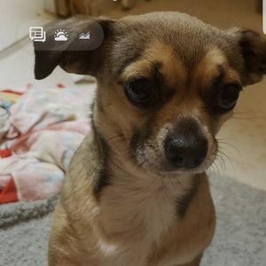 Meet your Posher, Charles